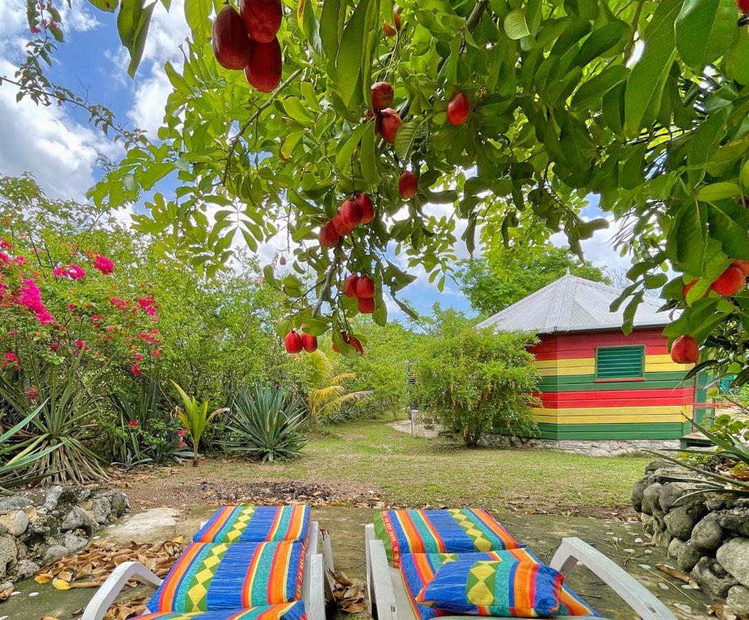 Judy House 2 - Lewis Backpacker Hostel Little Bay Extérieur photo