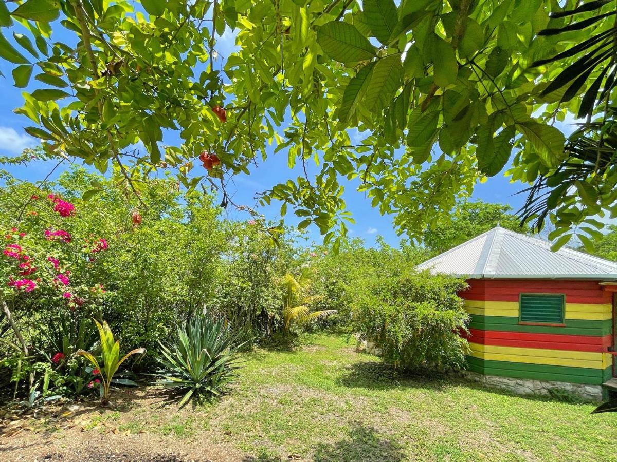 Judy House 2 - Lewis Backpacker Hostel Little Bay Chambre photo